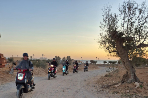 Best of Djerba by Scooter: Let's Ride, Let's Explore, Let's Have Fun! Complimentary Brik Best of Djerba by Scooter: We Ride, We Explore, We Love It!