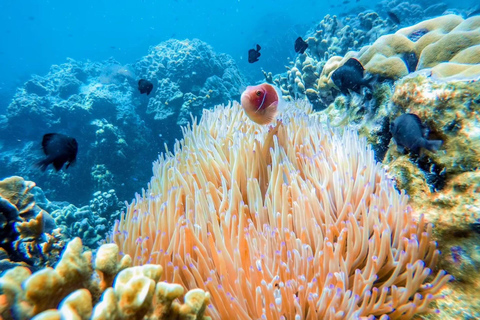 Z Koh Chang: 4 wyspy Snorkel &amp; Beach Tour dużą łodziąRejs wycieczkowy na 4 wyspy: Z transferem do hotelu