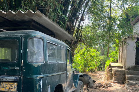 Minca: Fairtrade, coffee & cocoa, organic farm - ES/EN/DE Sunset tour