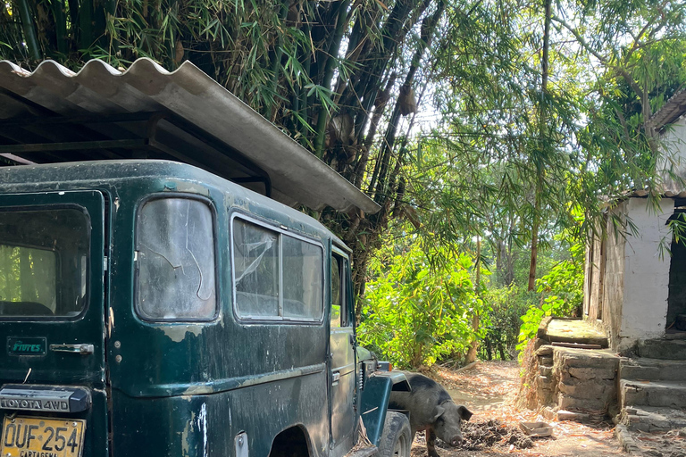 Minca: Fairtrade, coffee & cocoa, organic farm - ES/EN/DE Sunset tour