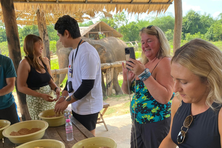 Siem Reap: Elephant Forest, Banteay Srey & Grand Circuit