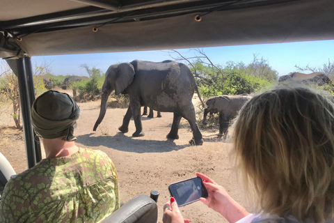From Livingstone: Chobe Half-Day Game Drive Safari