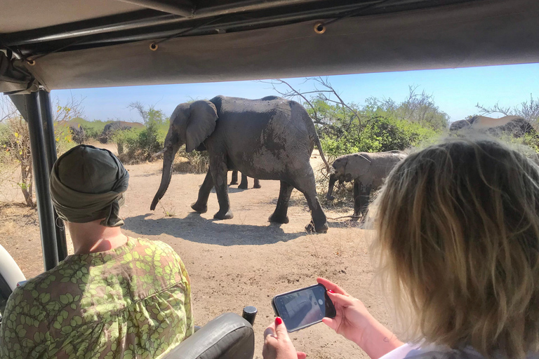 From Livingstone: Chobe Half-Day Game Drive Safari