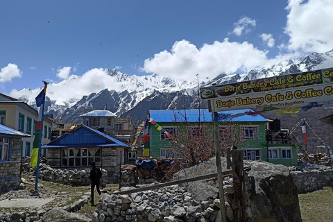 Kathmandu: 9-Day Langtang Gosaikunda Trek with Transfers 9DayLangTangGosain