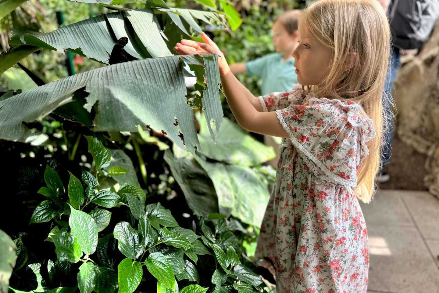 Vienna: Private Family Tour, City Highlights, Museum & Cake