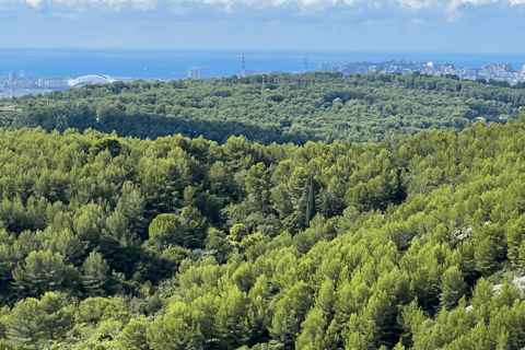 Unique Provence: Marselha, Allauch e Cassis em um diaMarselha - Allauch - Cassis - PRIVADO