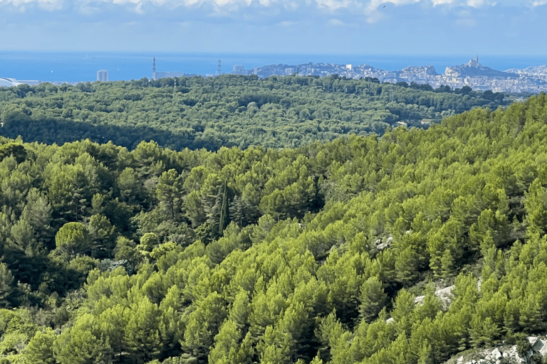 Provenza unica: Marsiglia, Allauch e Cassis in un solo giornoMarsiglia - Allauch - Cassis - PRIVATO