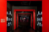 Casa Milan, Eintrittskarte für Museen - Hizvo