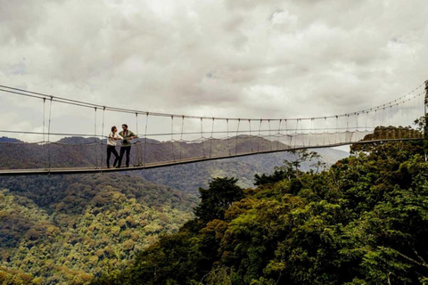 Kigali: Nyungwe Canopy Walk and Zipline Adventure with Lunch