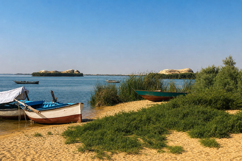 From Cairo: 4x4 Desert Safari, Waterfalls & Magic Lake Shared Tour: Wadi El Rayan, Magic Lake & Lake Qarun, Jeep