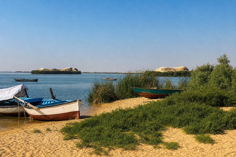 From Cairo: 4x4 Desert Safari, Waterfalls & Magic Lake Shared Tour: Wadi El Rayan, Magic Lake & Lake Qarun, Jeep