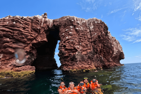 La Paz: Espíritu Santo Island & Whale Shark Day Trip