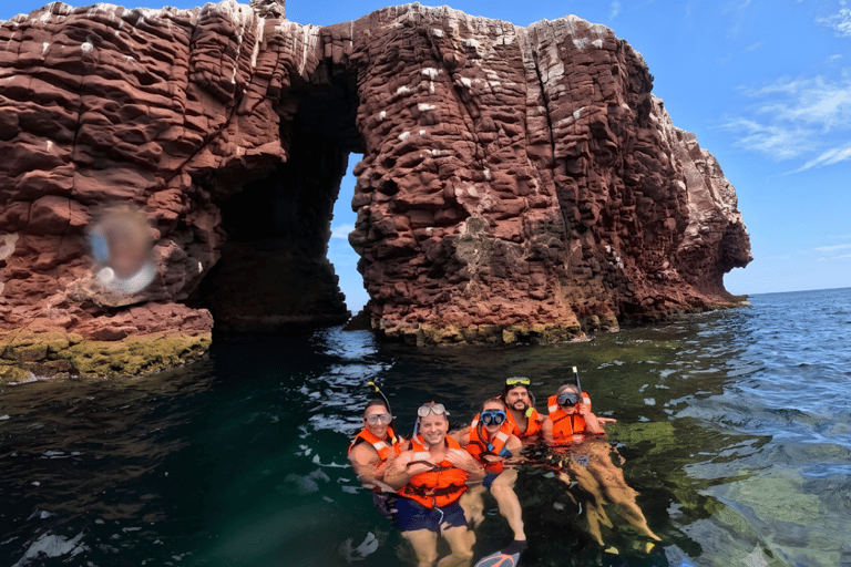 La Paz: Espíritu Santo Island & Whale Shark Day Trip