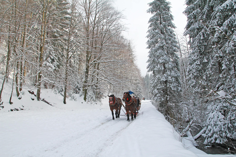 Zakopane: Przejażdżki konne z lokalnym przewodnikiem i degustacja potrawZima: Śnieżna przejażdżka saniami