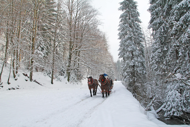 Zakopane: Horse-Drawn Rides with Local Guide & Food Tasting Winter: Snow Sleigh Ride