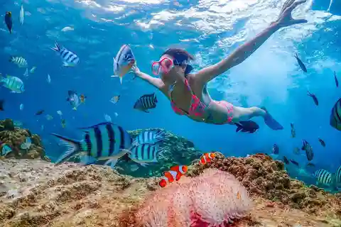 Pattaya: Nemo Island Full-Day Snorkeling Boat Trip