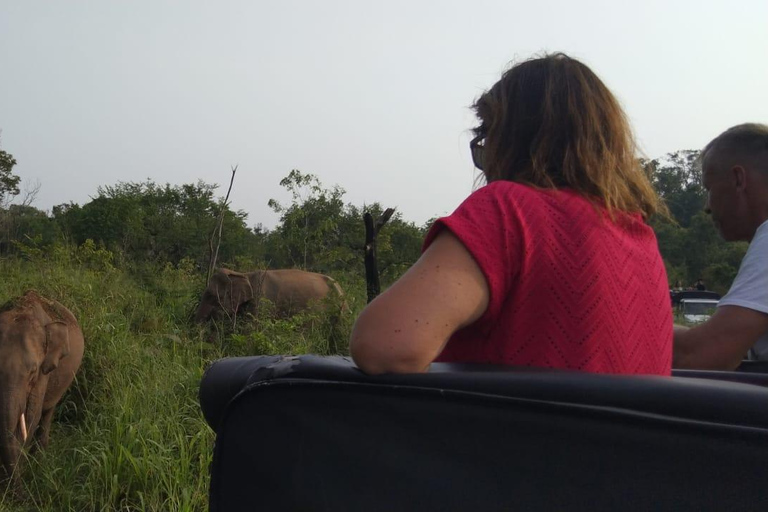 Sigiriya: Minneriya Safari, Yapahuwa Rock & Colombo Drop-off Sigiriya: Minneriya Safari, Yapahuwa Rock & Negombo Drop-off