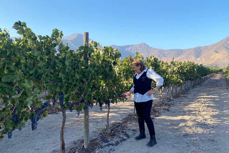 Santiago: Private Inca Lake and Alpaca Farm or Vineyard