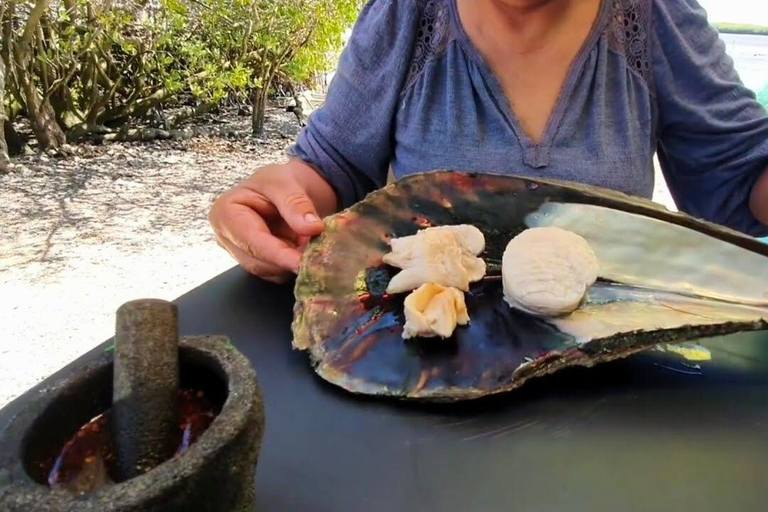 La Paz: Mangrove Adventure, Snorkeling and Shellfish Tasting