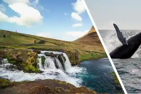 Reykjavik: Snæfellsnes Peninsula & Whale Watching Tour
