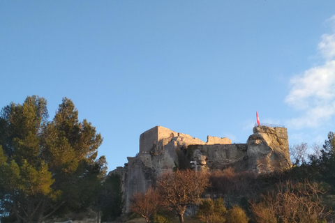 Baux et Saint Rémy de Provence : Histoire, vins et paysagesVisite d'une demi-journée 6h aux Baux de Provence