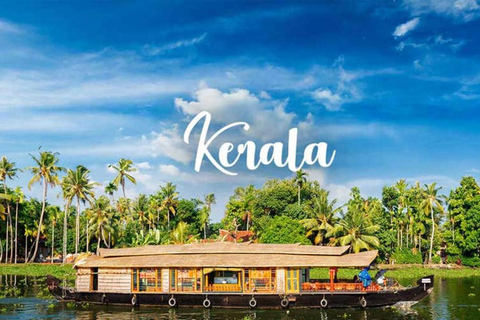 Kerala: Tour di 8 giorni con Munnar, Thekkady e Kovalam