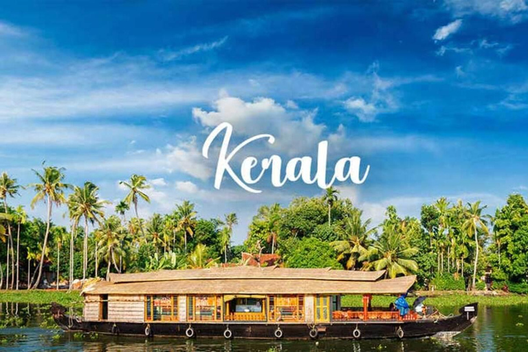 Kerala: 8-dagars rundtur med Munnar, Thekkady och Kovalam