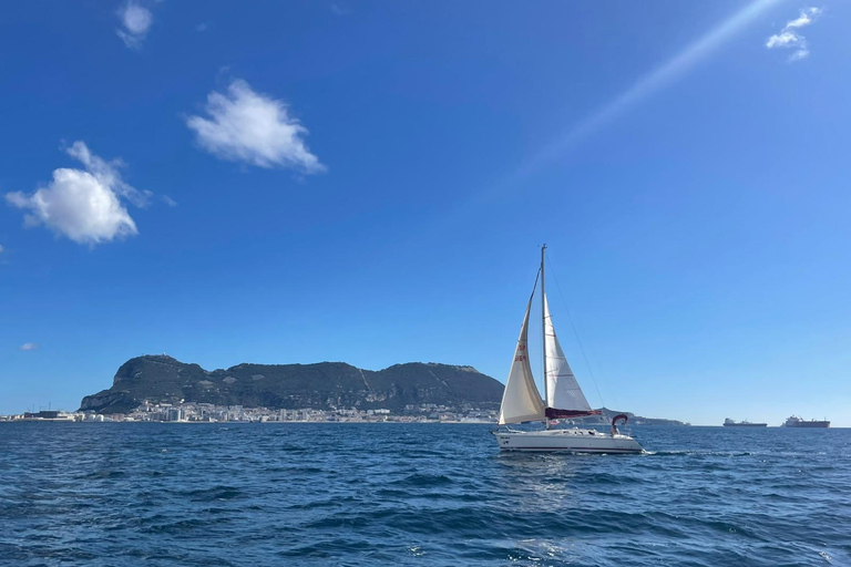 Paseo en velero por la Bahia Gibraltar,Ships,Dolphin spotting Tapas Drinks