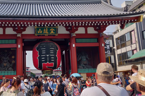 Tokyo: Tour guidato dall&#039;Ing di 2 giorni del Monte Fuji e della città di Tokyo