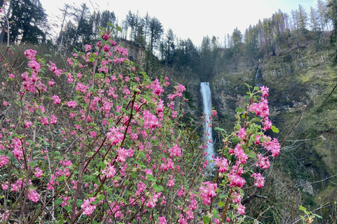 Portland: Columbia River Gorge Waterfalls Hike & Bike Tour