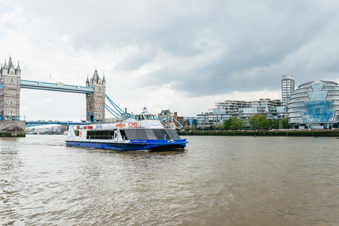 London: River Thames Hop-On Hop-Off Sightseeing Cruise