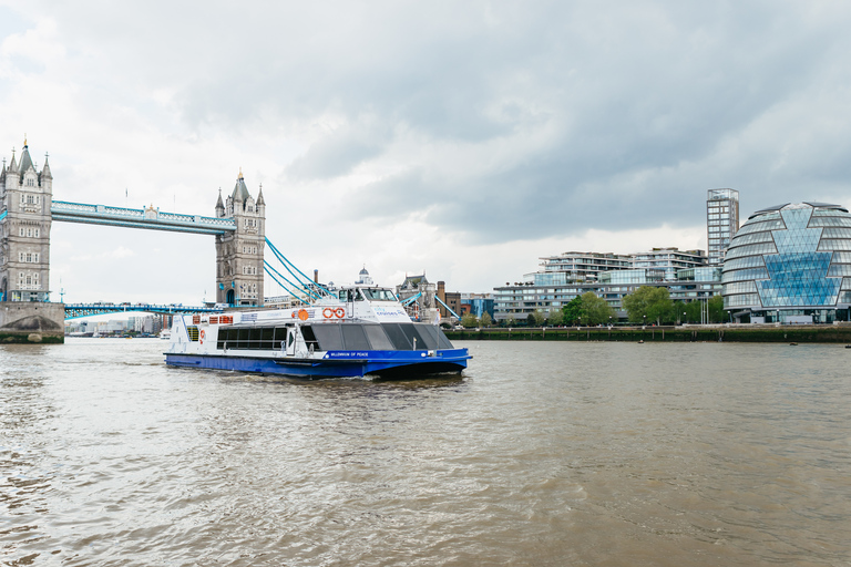 London: River Thames Hop-On Hop-Off Sightseeing Cruise