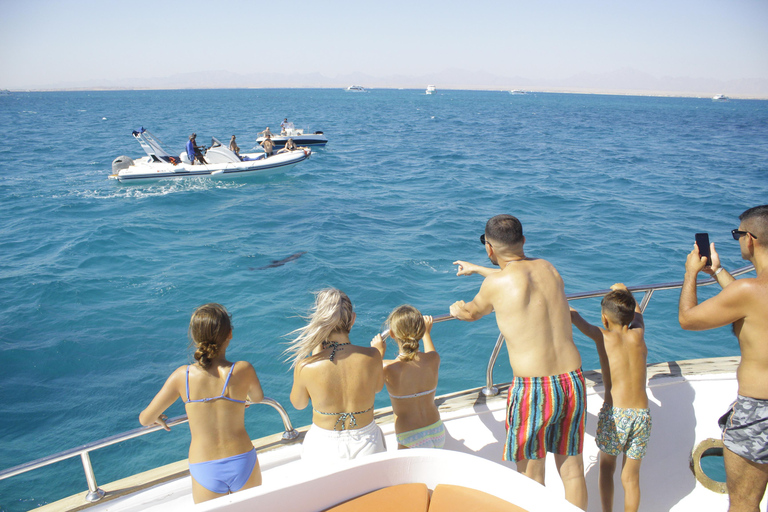 Hurghada: Dolphin House Morning Cruise & Swim with Dolphins Hurghada: Dolphin House Cruise/Swim with Dolphins