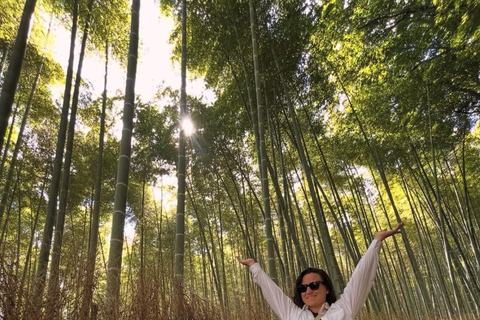 Kyoto: Private Tour with Nara included and English Driver