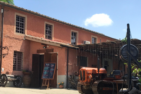 Exclusive Pisa Florence Tour with Wine Tasting from Livorno