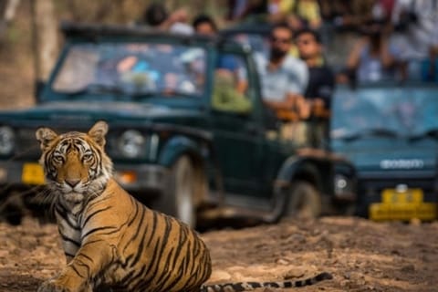 Jim Corbett National Park Safari with Lunch & Nature Tour