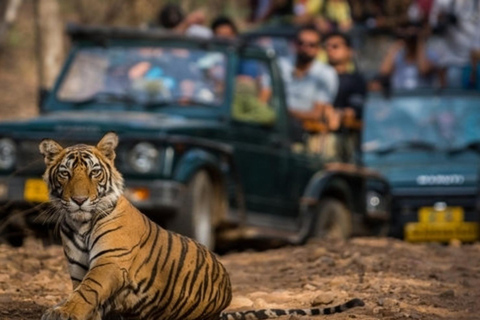 Jim Corbett National Park Safari with Lunch & Nature Tour