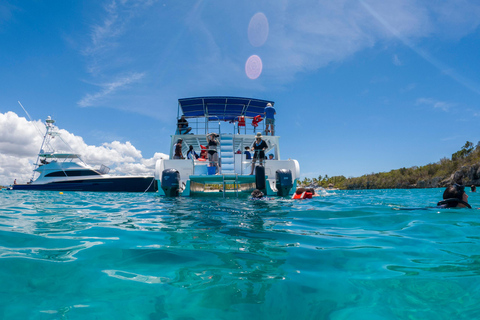 Excursión a la Isla Catalina: Barco, estancia en la playa, comida y bebidas gratis