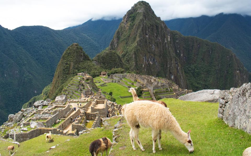 Machu Picchu 1 Day Tour By Vistadome Observatory Train GetYourGuide