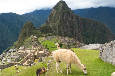 Machu Picchu en tren 2 días