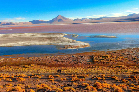 Laguna Colorada en Salar de Uyuni rondleiding van 3 dagen