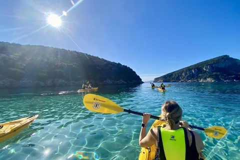 Golfo Aranci: tour per piccoli gruppi in kayak con aperitivo e delfini