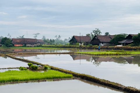 Yogyakarta: Village Cycling Tour with Local Snacks