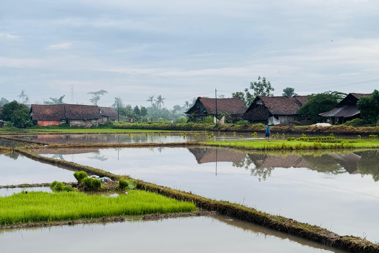 Yogyakarta: Village Cycling Tour with Local Snacks