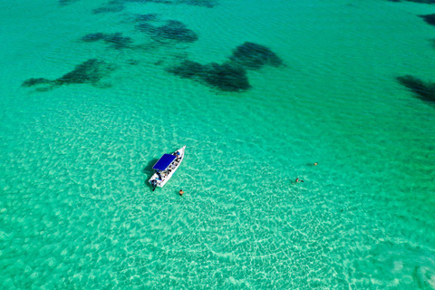 From Punta Cana: Saona Island Private Small Boat Day Trip