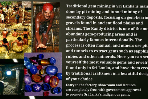 Kandy: City Tour with Temple of the Tooth & Tea Garden