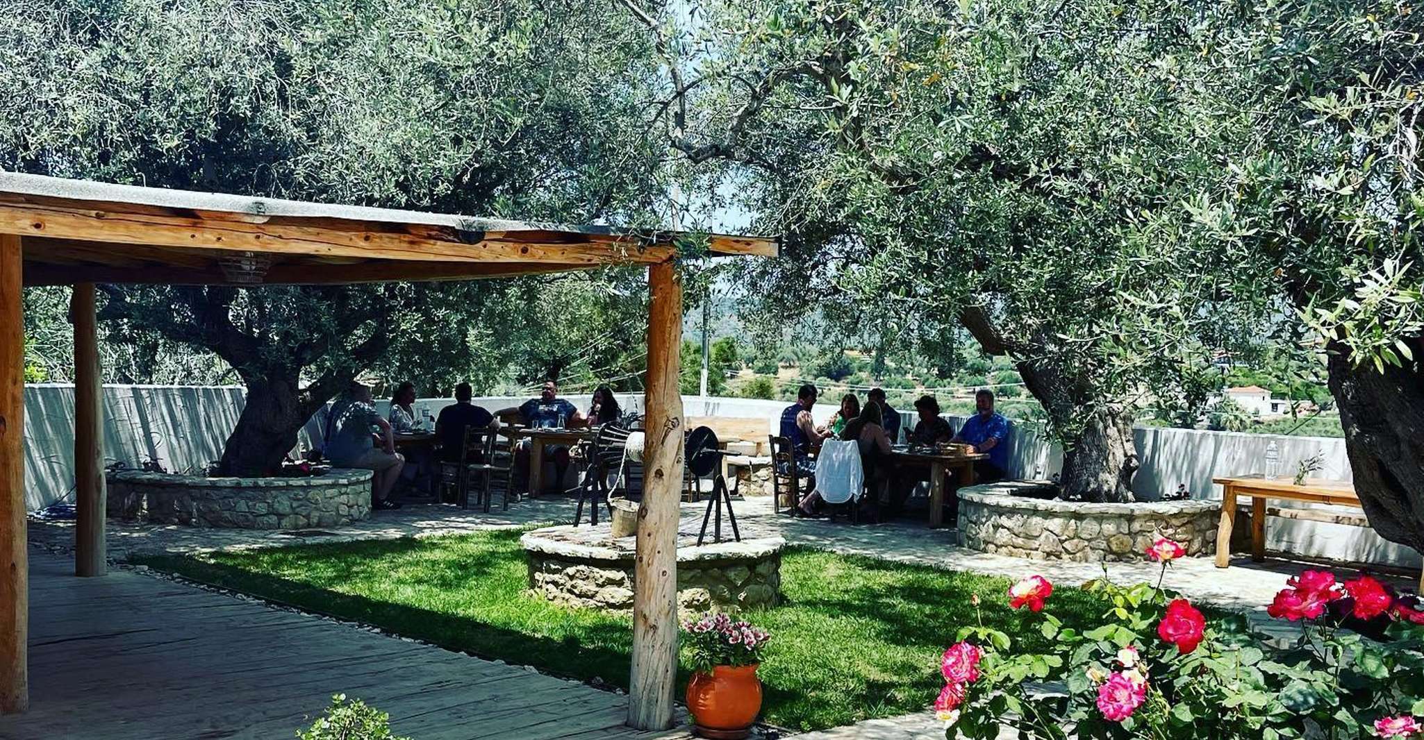 Greek Cooking Class in an Olive grove in Messinia - Housity