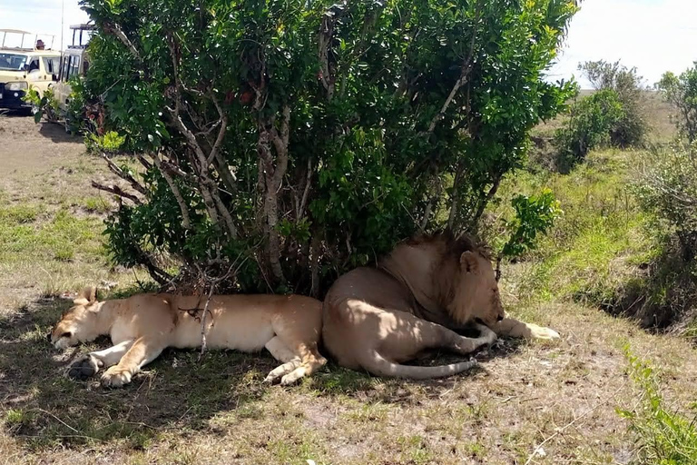 Safari de 3 días y 2 noches por Amboseli.Excursión de safari de 3 días y 2 noches a Amboseli.