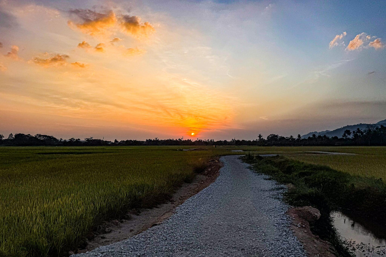 Langkawi Quad Hilltop Golden HourL&#039;heure d&#039;or du quad sur la colline de Langkawi