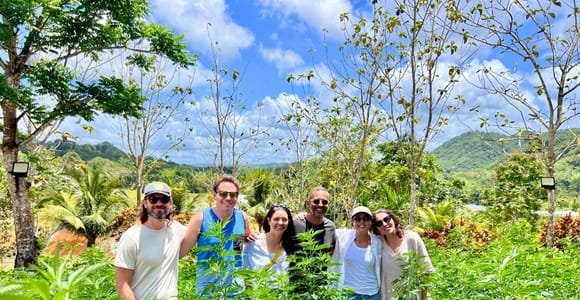 Jamaica: Cannabis Farm Tour with Lunch and Transfers